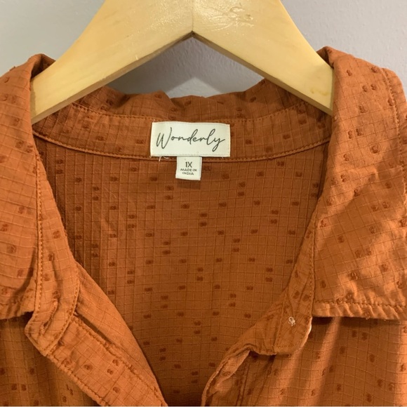 Wonderfly Rust Button Front Ruffle Hem Dress Plus Size - Picture 3 of 7